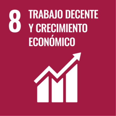 Objetivos de Desarrollo Sostenible 8 - Trabajo decente y crecimiento económico