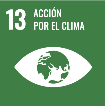 Objetivos de Desarrollo Sostenible 13 - Acción por el clima