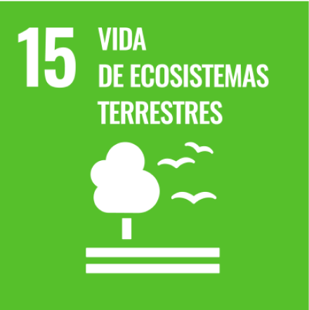 Objetivos de Desarrollo Sostenible 15 - Vida de ecosistemas terrestres