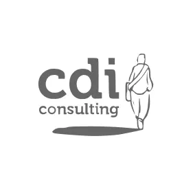 Socio del clúster de construcción: CDI Consulting