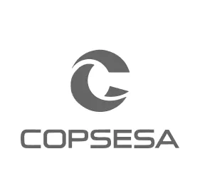 Socio del clúster de construcción: CAPSESA