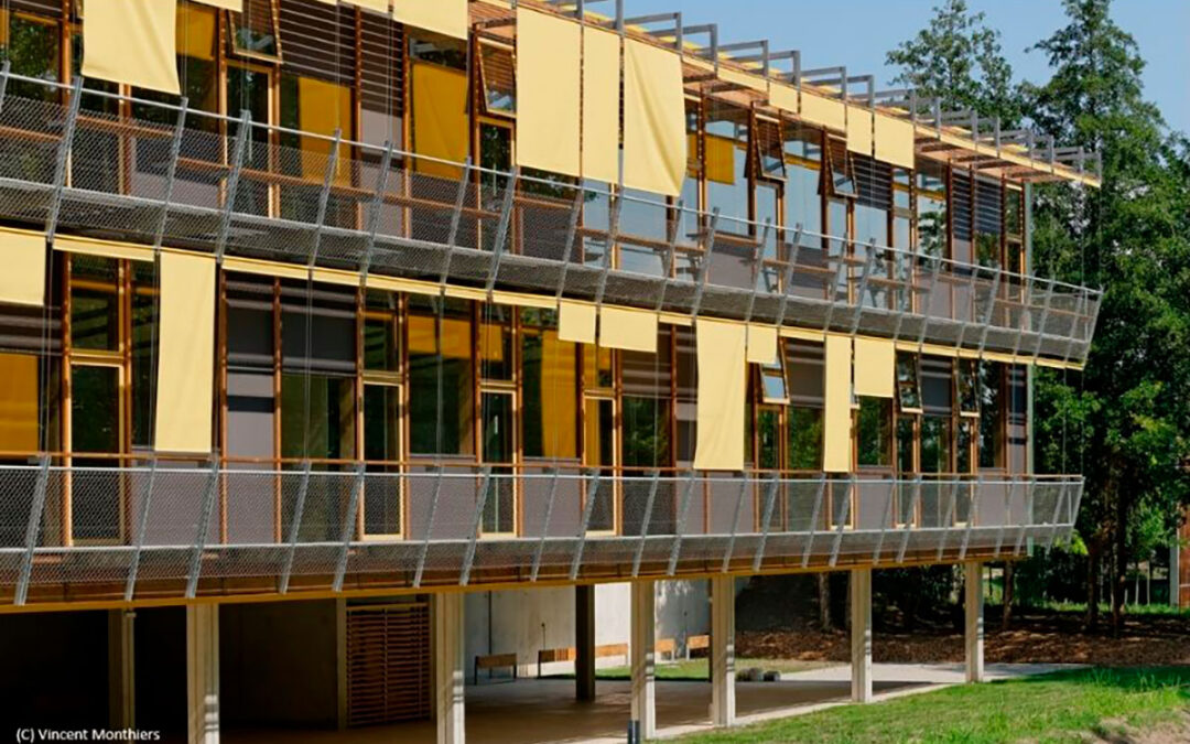 ¿Qué apoyos existen para desarrollar proyectos innovadores?