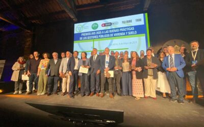 Sestao Berri, doblemente galardonada en los “Premios AVS 2025 a las Buenas Prácticas en Vivienda y Suelo”