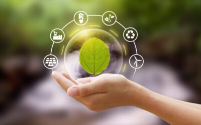 Programa de ayudas a la transición energética en las empresas 2025