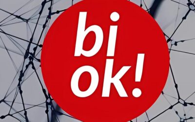 Reto BiOK: Mejora de la visibilidad de marcas viales en condiciones de lluvia